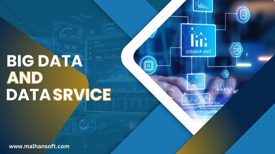 Big Data and Data Services USA