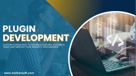 Custom Plugin Development Services in USA