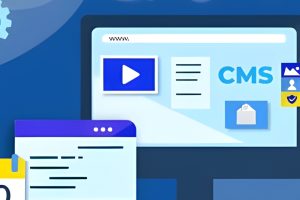 CMS Plugin Development
